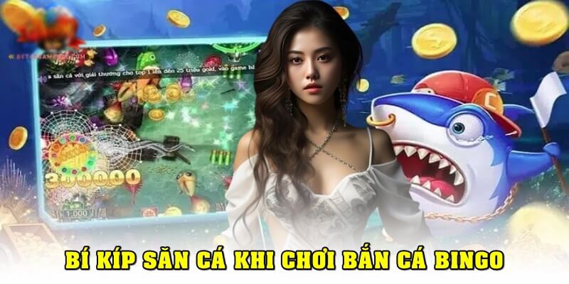 Kinh nghiệm chơi ban ca bingo
